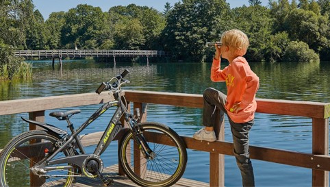 zebra organiseren Inspireren ZOEKT U EEN KINDERFIETS? WIJ HEBBEN EEN GROOT ASSORTIMENT KINDERFIETSEN OP  VOORRAAD, altijd hoge korting!