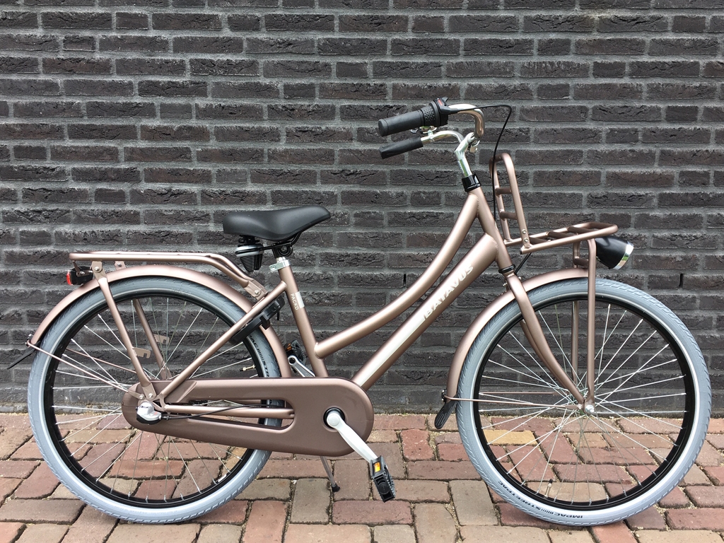 Batavus Packd M 24 inch Roodzilver mat, altijd hoge